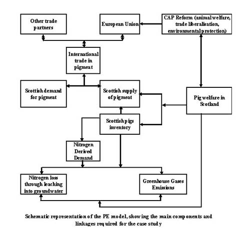 Model diagram